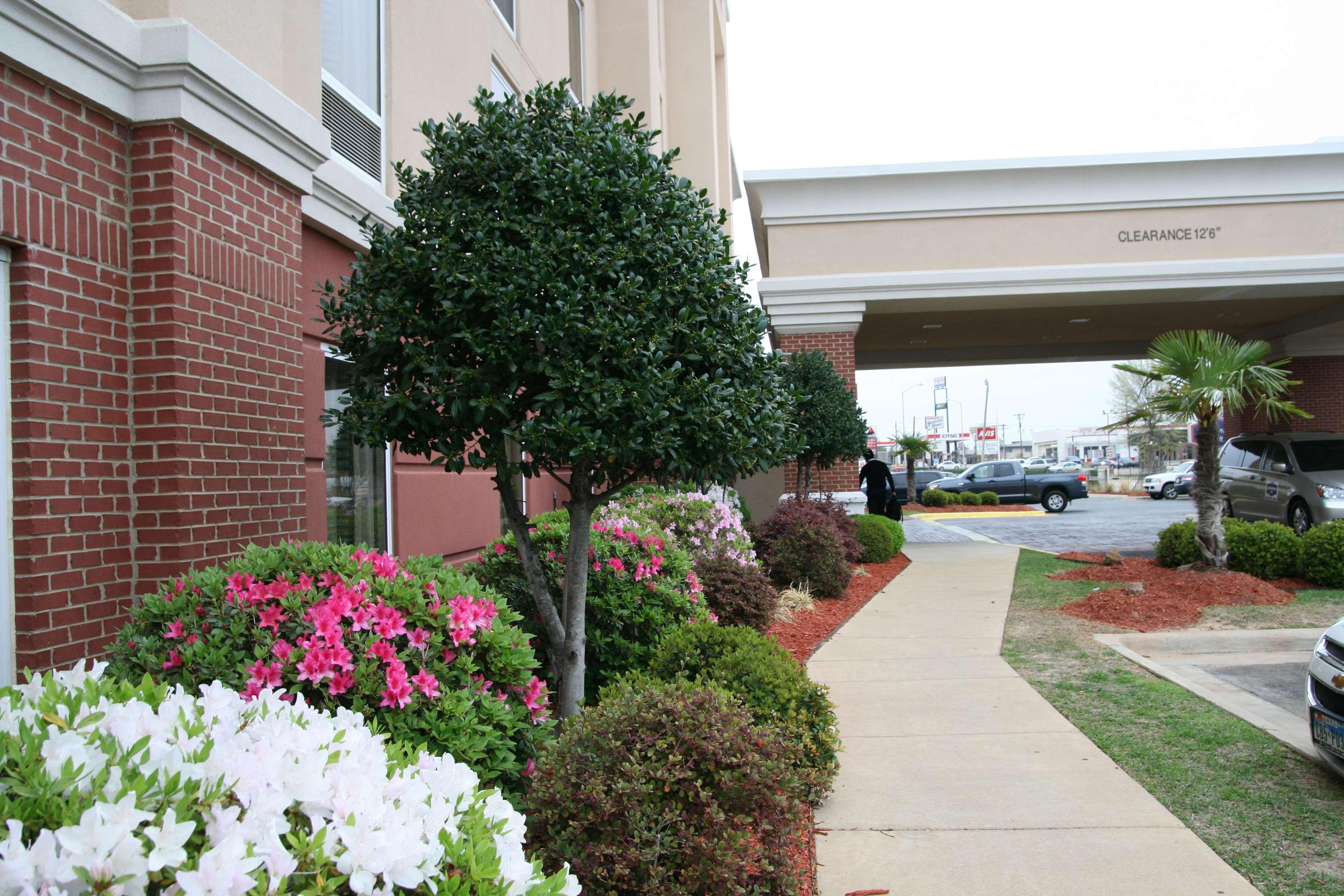 Hampton Inn Shreveport-Airport Exteriör bild